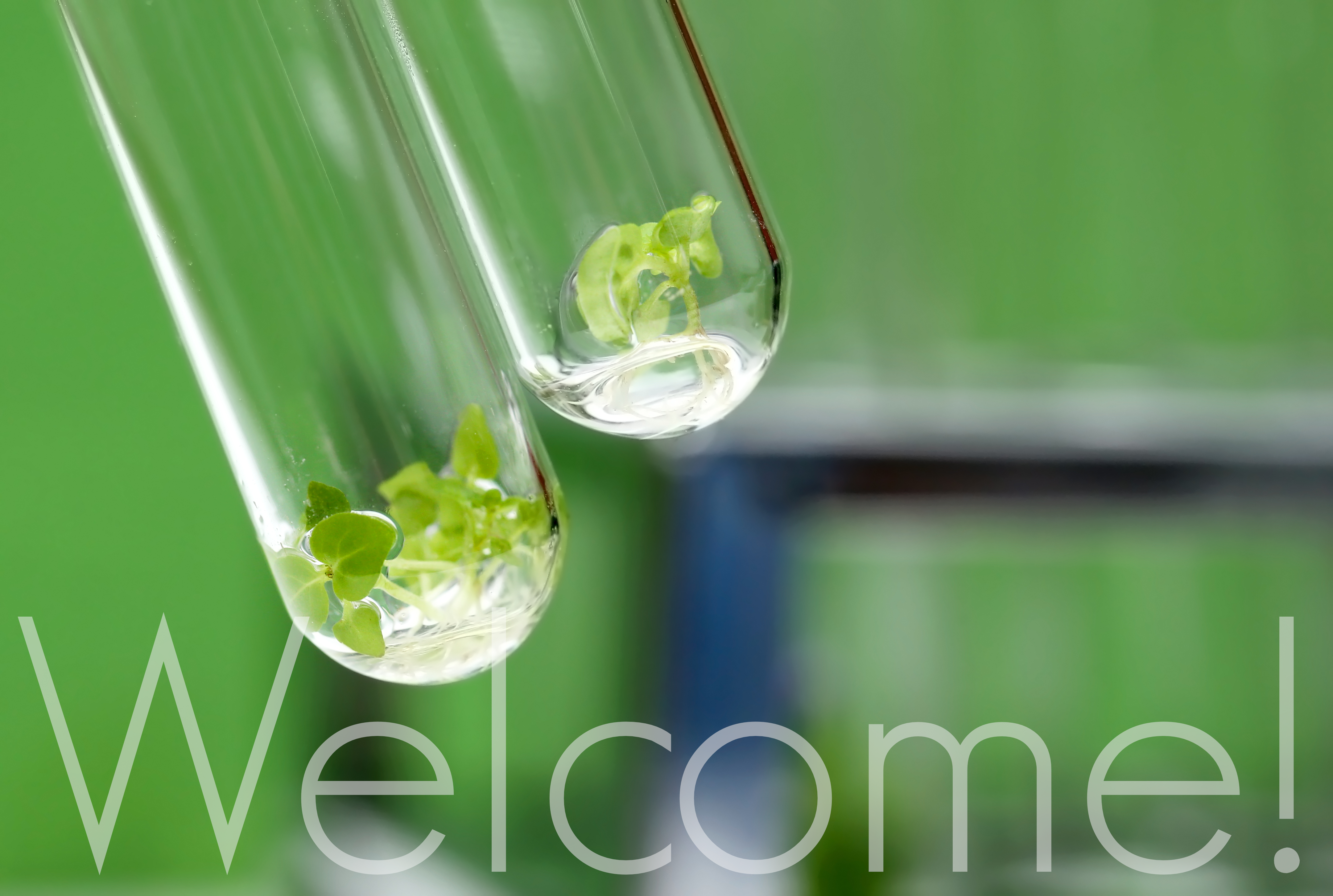Welcome!.png