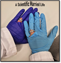 A Scientific Married Life