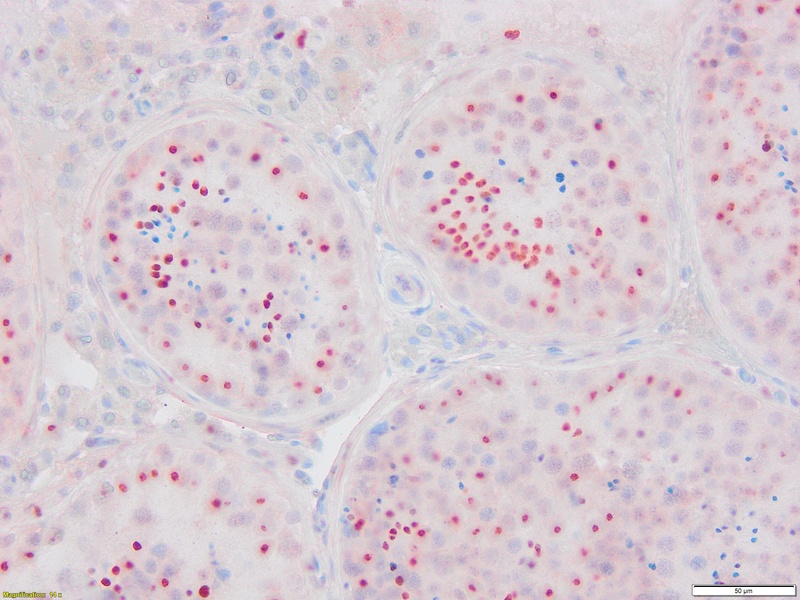 Research Shiplu