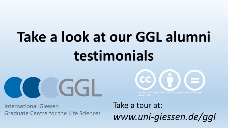 template testimonial