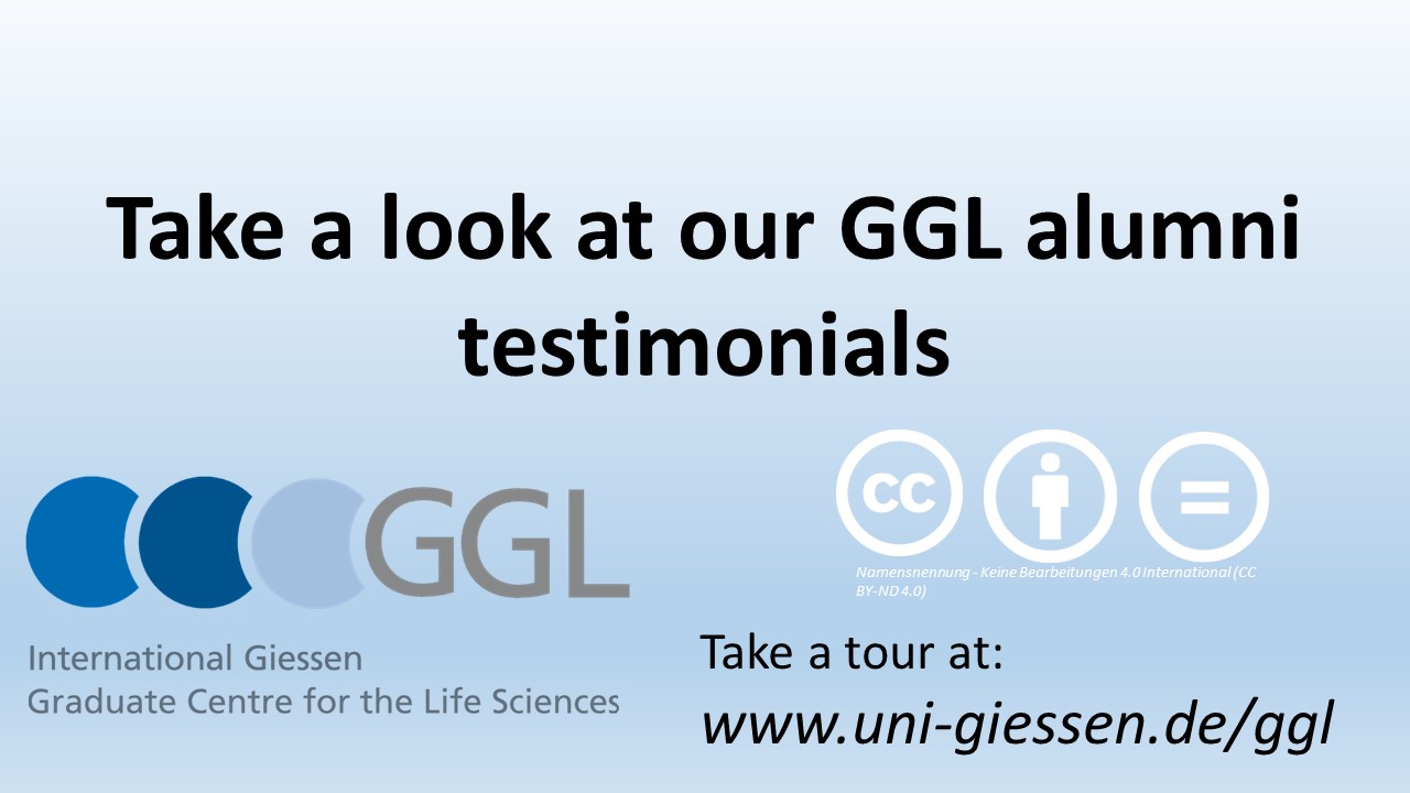 template testimonial