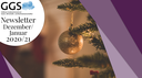 Newsletter Dezanuar 2020/21