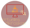 Virtuelles Mikroskop