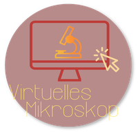 Virtuelles Mikroskop