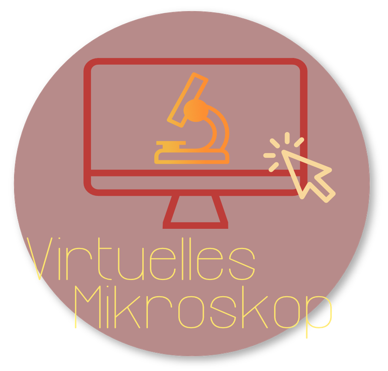 Virtuelles Mikroskop