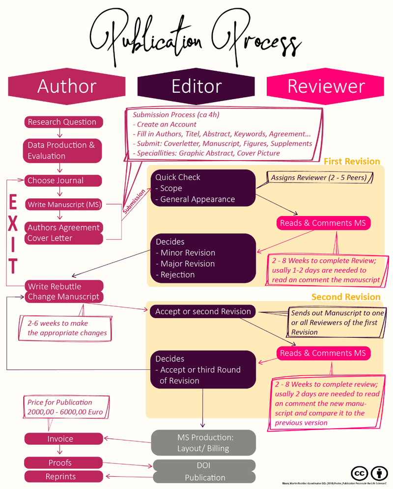 Publikationsprozess_WBT_WissPrax Englisch