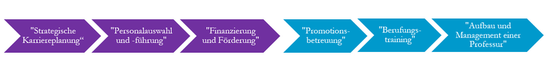 WegzurProfessur_Workshops.png