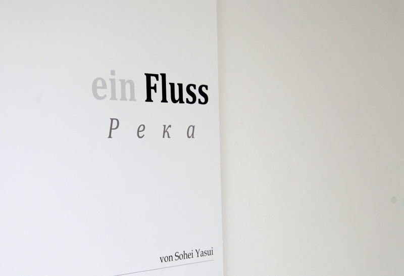 Ausstellung mit Sohei Yasui - 11062012 (2)