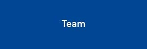 Button: Team