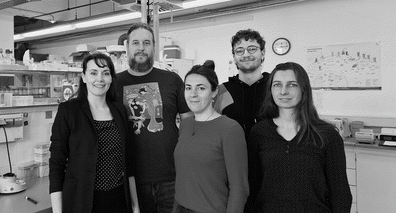 Portrait des Projektteams Metholyme-Masterclass