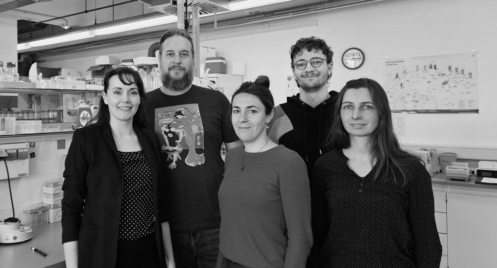 Portrait des Projektteams Metholyme-Masterclass