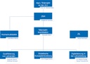 Für eine barrierearme Version des Organigramms von digLL@JLU bitte hier klicken