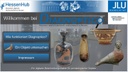 Zierbild: Diagnoptico Startseite