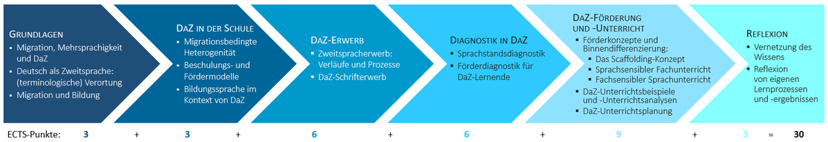 Modulstruktur_onZert-DaZ_2024_01.png