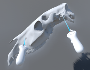 Programm-Screenshot_PETS_2