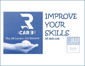 3r2.jpg
