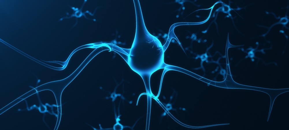 neuro-3.jpg