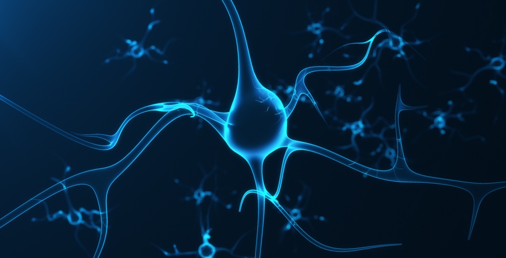 neuro-2.jpg