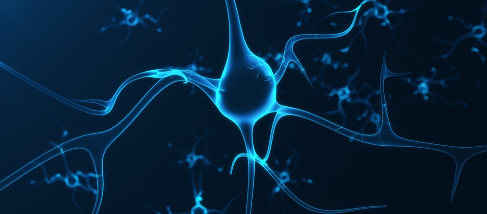 Entwicklung von computergestütztem Modelling / In-Silico Verfahren