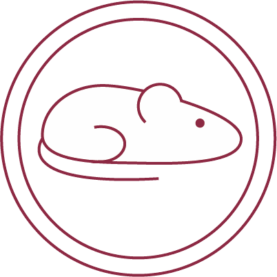 Element 4@2x.png