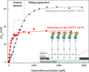 Bild des Monats Dezember