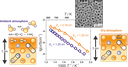Bild des Monats Mai