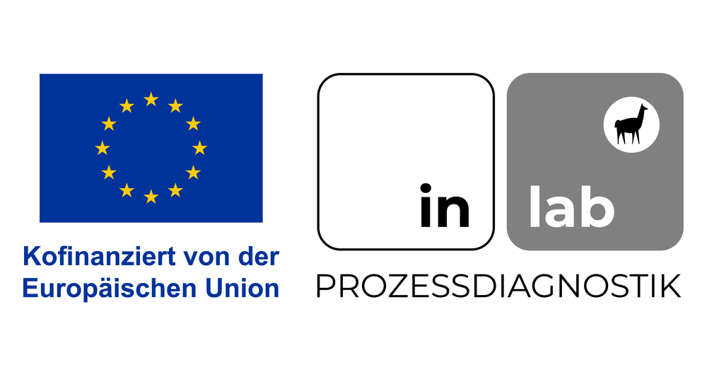 EFRE Logo Prozessdiagnostik
