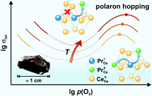 TOC-CePRO2