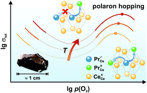 TOC-CePRO2
