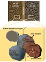 Polymer protective coatings at the cathode interface