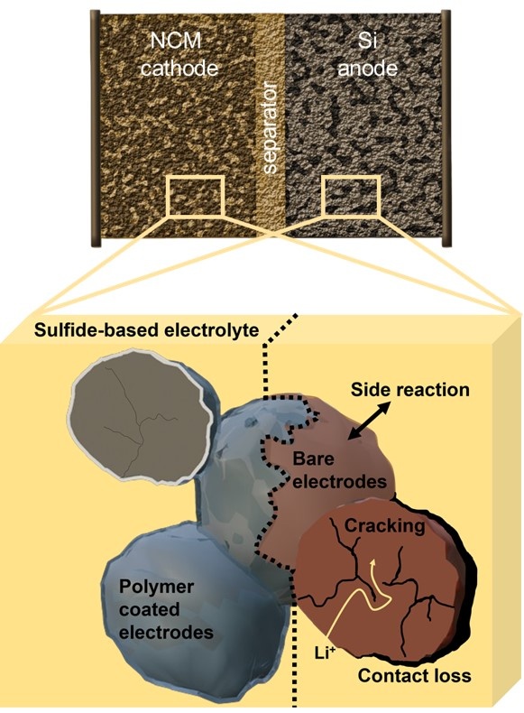 Polymer protective coatings at the cathode interface