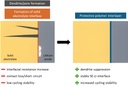 Polymer coatings on lithium metal anodes