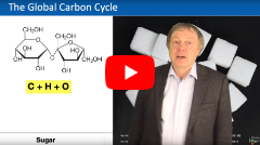click here to get forwarded to the lecture 12 on youtube