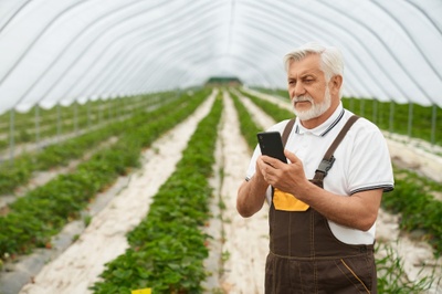 aged-farmer-with-smartphone-hands-standing-greenhouse