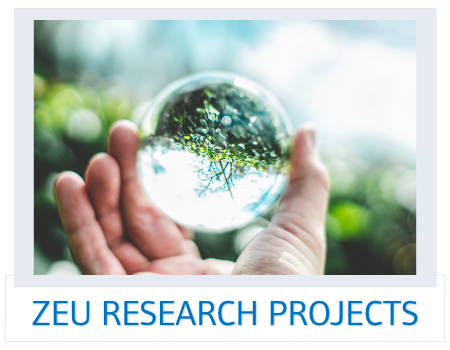 Click here to inform you about the ZEU research projects