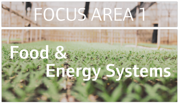 Focus Area One called Food and Energy Systems