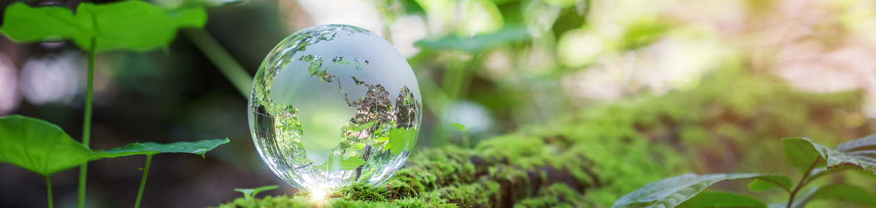 You see a earthlike glass bowl within green
