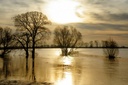 flood