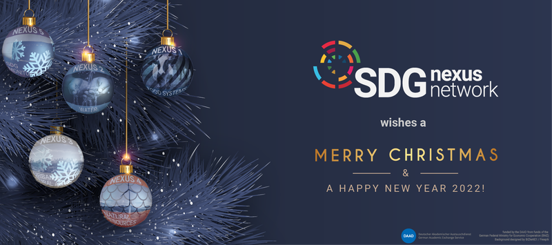 SDGNN_Xmas2022.png