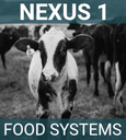 Nexus 1 - Food Systems