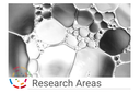 Research areas.png