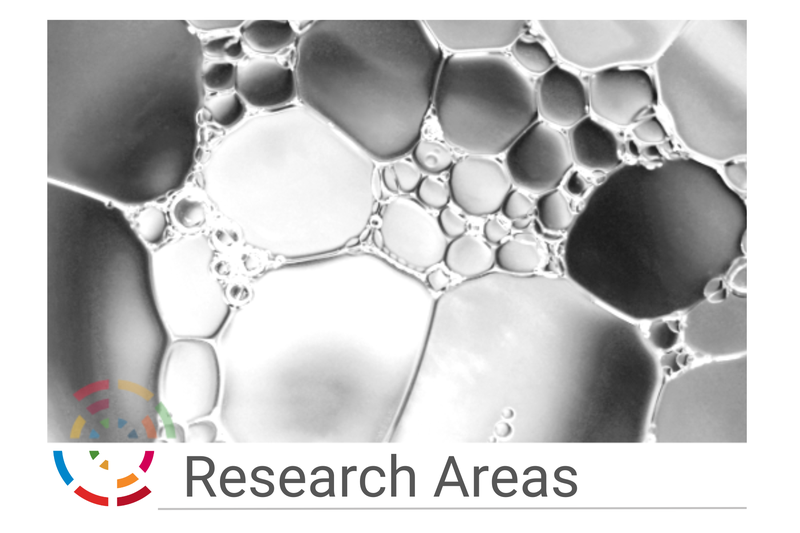 Research areas.png