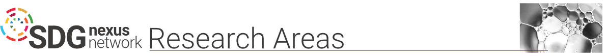 SDG Nexus Network Research Areas
