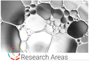 Research Areas