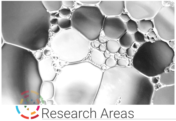 Research Areas