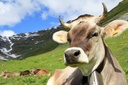 stock_res_area1