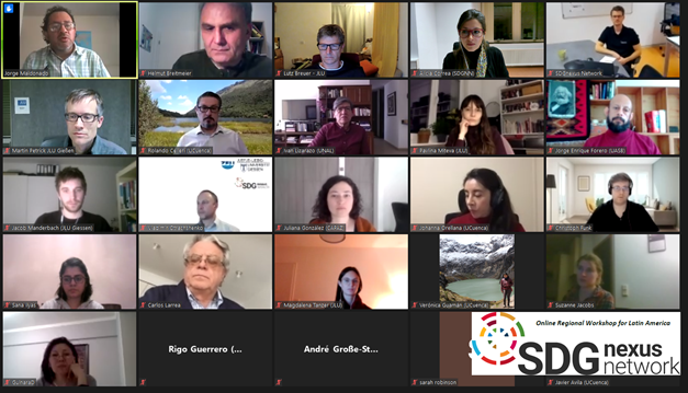 you see the participants of the latin america seminar in zoom from january 2021