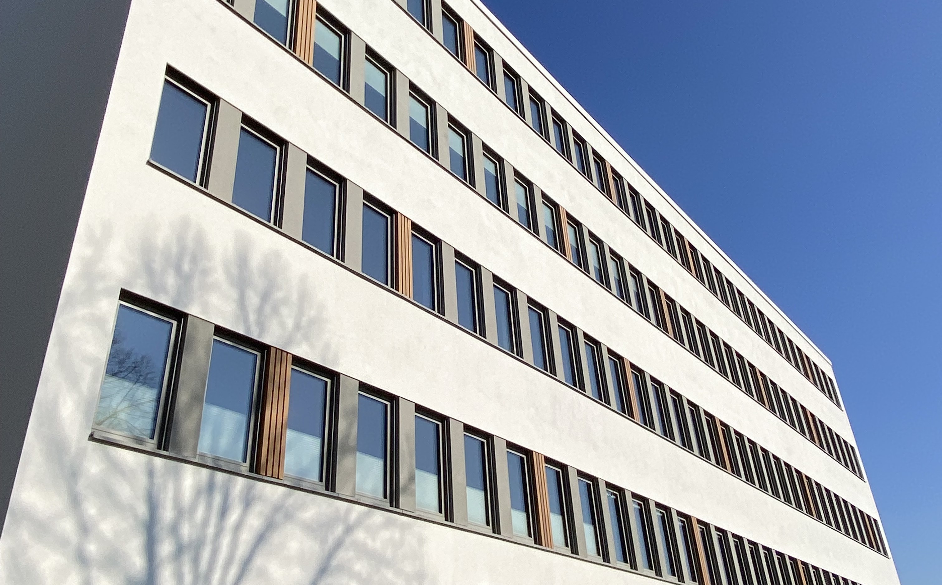 NeuesGebäude.jpeg