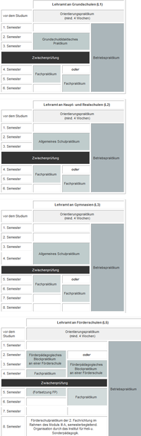 Schulpraktische Studien in den Lehramtsstudiengängen