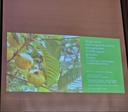 Presentation about forgotten crops